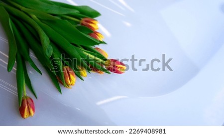 
bouquet of tulips on the white hood