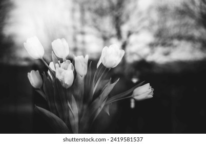 A bouquet of tulips is reflected in the window glass close-up. Black and white photo. Melancholy mood. The concept of nostalgia, parting, loneliness and sadness. Gone youth. Day of Remembrance. Spring