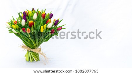 bouquet of tulips for you