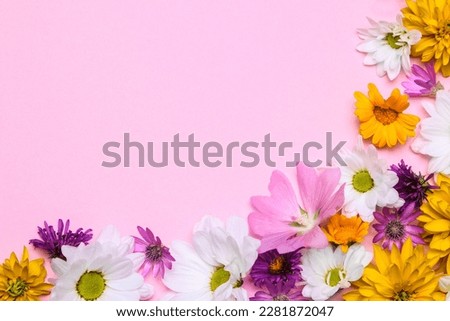 a bouquet of various summer wild flowers on a delicate pink background in the form of a frame with a place for text