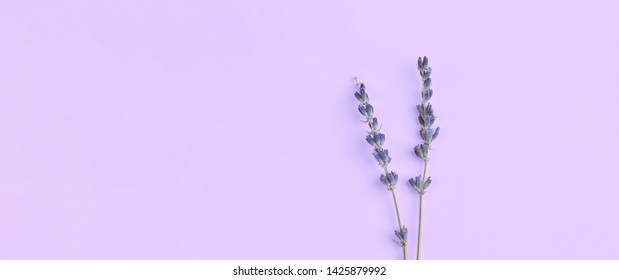 ramo flores lavanda violeta