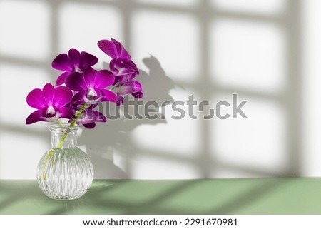 Bouquet of violet orchid flowers in water glass on green table with square shadow on wall on white background. Garden arrangement and ornament. Flower shop and artificial plant delivery. Copy space