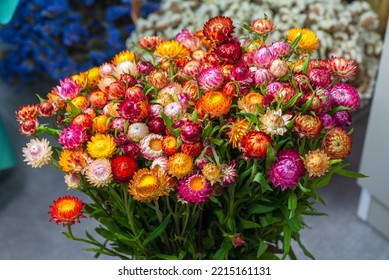 Bouquet of vivid everlasting or strawflowers
