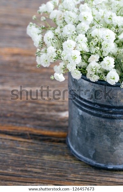 Bouquet White Babys Breath Flowers Gypsophila Stock Photo Edit