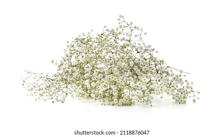 Bouquet of white flowers gypsophila isolated on a white background. - Shutterstock ID 2118876047