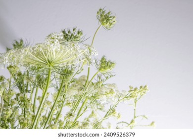 Bouquet flores blancas sobre