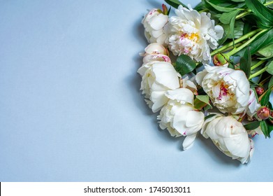 bouquet of white fresh peonies on a blue background - Shutterstock ID 1745013011