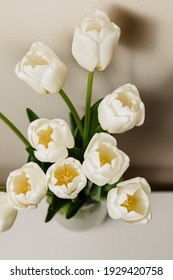 Bouquet of white fresh tulips, top view, free space, 8 march women's holiday. High quality photo