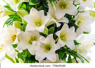 lily flowers bouquet