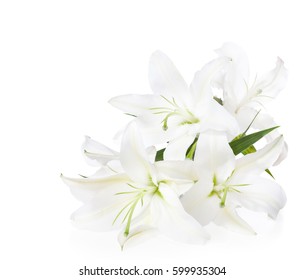 Bouquet Of White Lilies  ( Isolated On White Background).