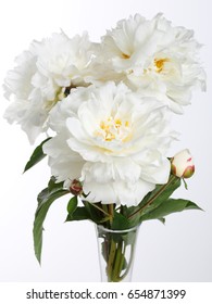A bouquet of white peonies isolated on a light background.