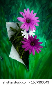 
A Bouquet Of White And Purple Flowers Running Through A Torn Painter's Canvas