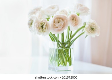 Bouquet of white ranunculus  in glass vase near the window, horizontal photo - Powered by Shutterstock