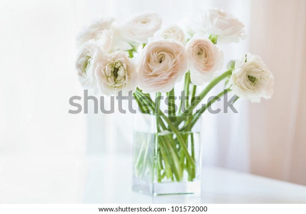 Bouquet White Ranunculus Glass Vase Near Stock Photo Edit Now