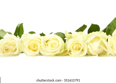 Bouquet Of White Roses On White Background