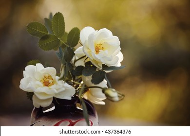 Bouquet of white wild roses in a vase.