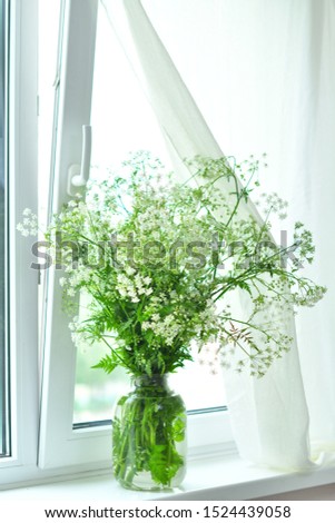 Similar – Acacia bouquet on the table in living room