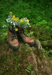 Bouquet Of Wild Flowers In Old Leather Shoes On Tree Stump In Forest, Natural Background. Spring, Summer Season. Beautiful Composition With Flowers, Rustic Style.
