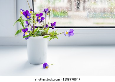 Bouquet Of Wild Flowers On The Windowsill. Blue Flowers Pansies.