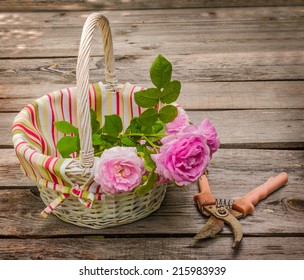 Bouquet of wild rose in vintage style on white basket next to the gardening shears on a wooden  table - Powered by Shutterstock