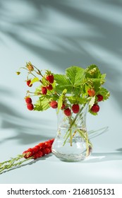 Bouquet of wild strawberry berries with leaves in glass vase. Summer still life with wild strawberries on  blue background. Copy space. 