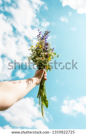 Similar – Woman making wild flowers at home in vase