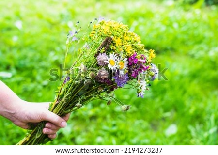 bouquet of wildflowers in the girl's hand. High quality photo