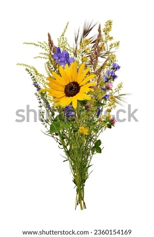 Bouquet of wildflowers and herbs with sunflower. Element for creating collage or design, postcards, invitations.