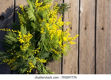 A bouquet of yellow mimosa flowers on a wooden background. Background is a symbol of spring.