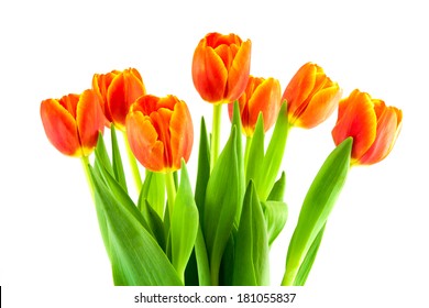 bouquet of yellow and orange tulips on a white background