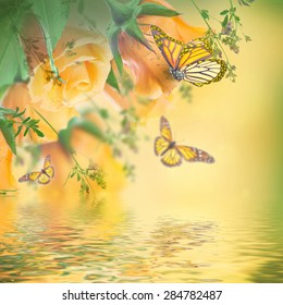 Bouquet of yellow roses, butterfly