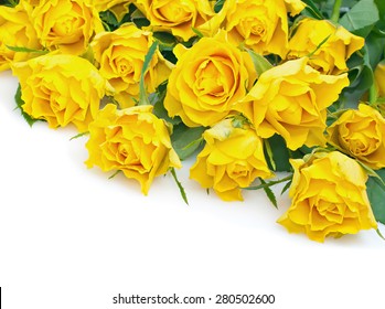 Bouquet of yellow roses isolated on white. Card with space for text.