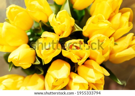 A bouquet of yellow tulips close-up. Beautiful yellow flowers with green leaves. Background with flowers. Flowers for the holiday. Many buds of yellow tulips.