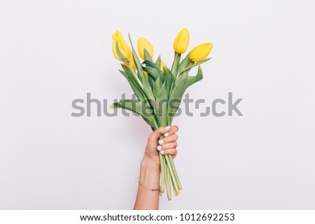 Bouquet of yellow tulips in a female hand on a white background