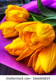 Bouquet Of Yellow Tulips, Flowers In Purple Foil