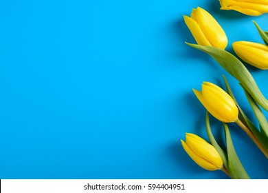 Bouquet Of Yellow Tulips On A Blue Background