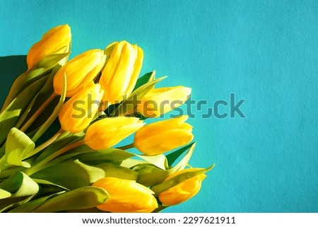 Bouquet of yellow tulips on blue background. Mothers day, Valentines Day, Birthday celebration concept. Greeting card. Copy space, top view
