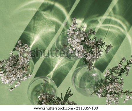 Bouquets of blooming apple tree branches with white flowers on glass bottles on light green background. Spring background in headlight with shadows. White flowers bunches for wedding or easter. 