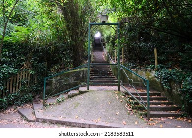 Bournemouth, UK - July 21, 2022: The ground view of a staircase that has a fork at the entrance,  with light shining through at the top, in a leafy area in Alum Chine, Bournemouth