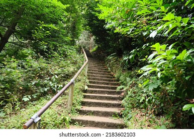 Bournemouth, UK - July 21, 2022: Stone staircase with wooden banister surrounded by trees and bushes in Alum Chine