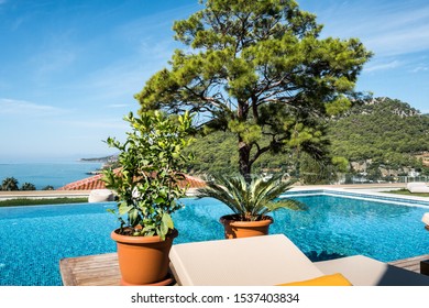 Boutique Hotel Swimming Pool, Lounge Chair, Green Woodland And Sea In Background