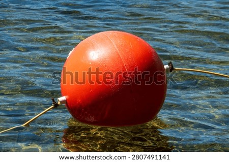 A Bouy floating in the water