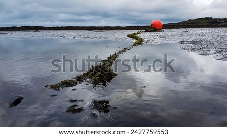 A bouy lying in the sand at low tide on Guernsey's west coast