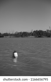 bouy in the river
