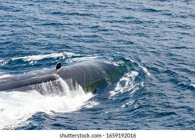 Bow Of The Fast Attack Nuclear Submarine Of U.S.Navy Above The Sea Surface