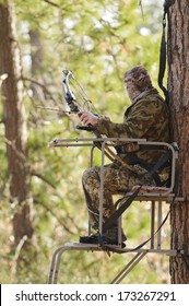 Bow Hunter In A Ladder Style Tree Stand 