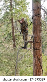 Bow Jäger in einem Baum mit Leiter bei voller Anziehung mit Bogen, der durch die Benutzung eines Sicherheitsgurts eine gute Sicherheit demonstriert