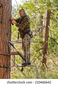 Bow Hunter In A Ladder Style Tree Stand Correctly Attaching A Fall Arrest Harness To A Strap Around The Tree