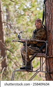 Bow Hunter In A Ladder Style Tree Stand 