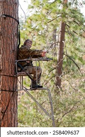 Bow Hunter In A Ladder Style Tree Stand 